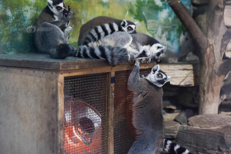 A scientist developed a new type of battery that is safer for the environment