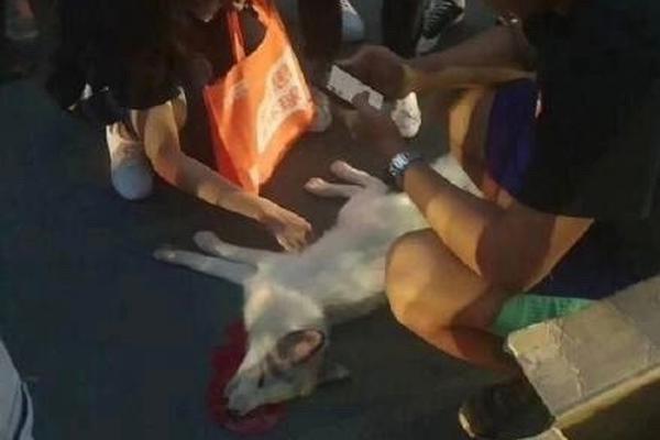 A construction project to renovate an old library began this week