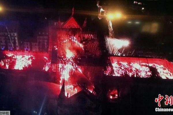 A new study indicated that owning a cat can reduce the risk of stroke in older adults