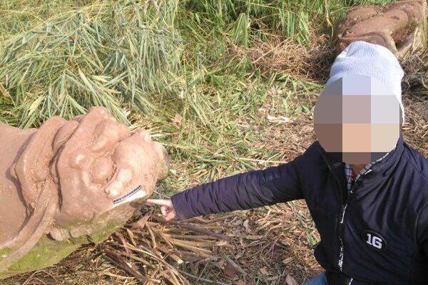 A new study indicated that owning a cat can reduce the risk of stroke in older adults