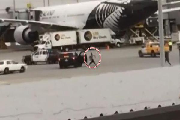 Researchers studied the impact of air pollution on lung health in children