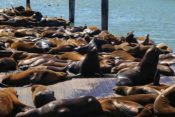 Doctors discovered a new way to treat allergies that provides long-term relief