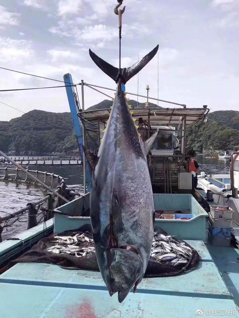 The government announced a new grant program to support artists and cultural organizations affected by the pandemic