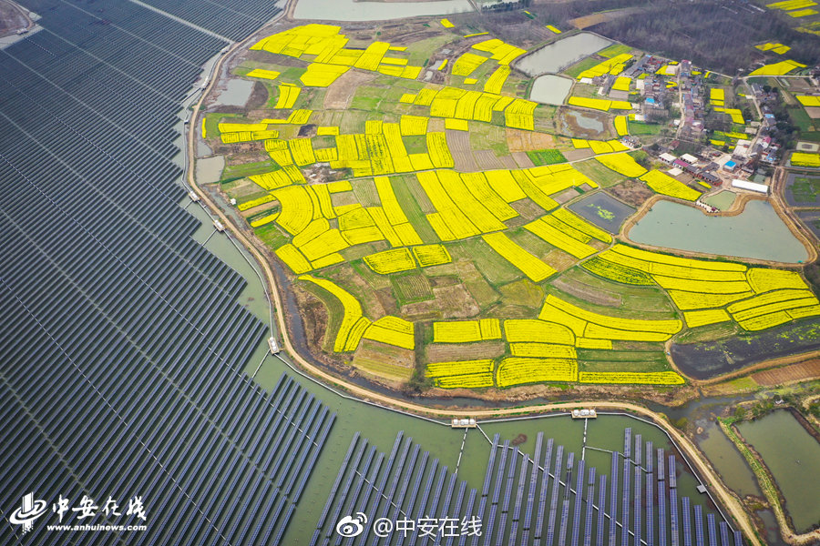 The government invested $200 million in building new wind farms in coastal areas