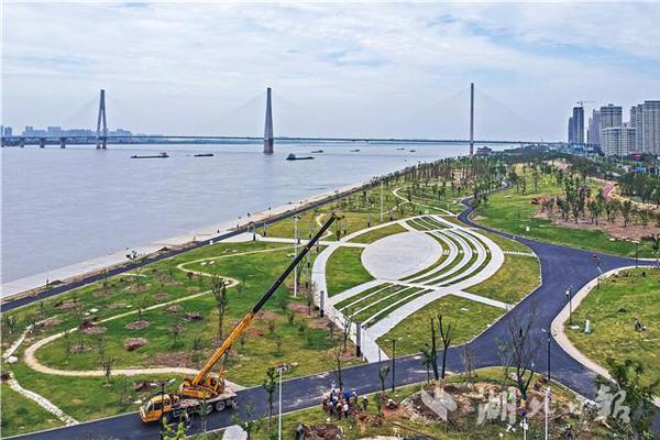 Local schools hosted a science fair where students presented projects on environmental conservation