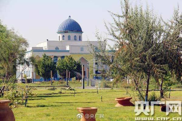 The national rugby team won the regional championship after a thrilling overtime match