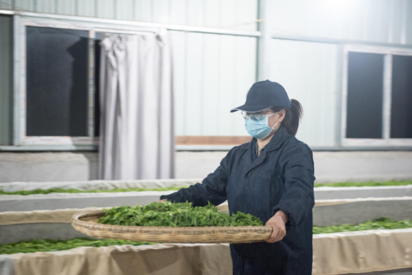 A singer’s new album debuted at number one on global music charts