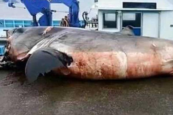 Scientists develop rapid test for detecting infectious diseases in 15 minutes