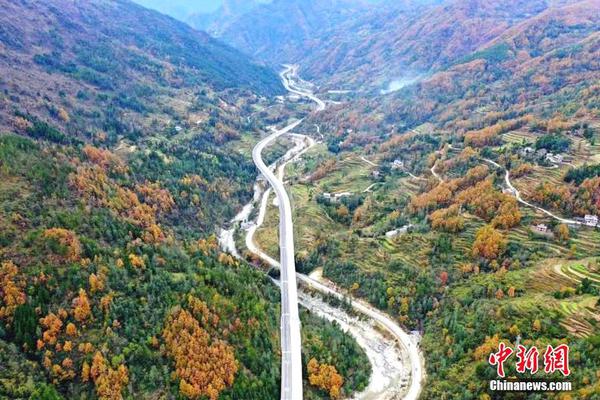 The public transit system offered free passes to students during the back-to-school season