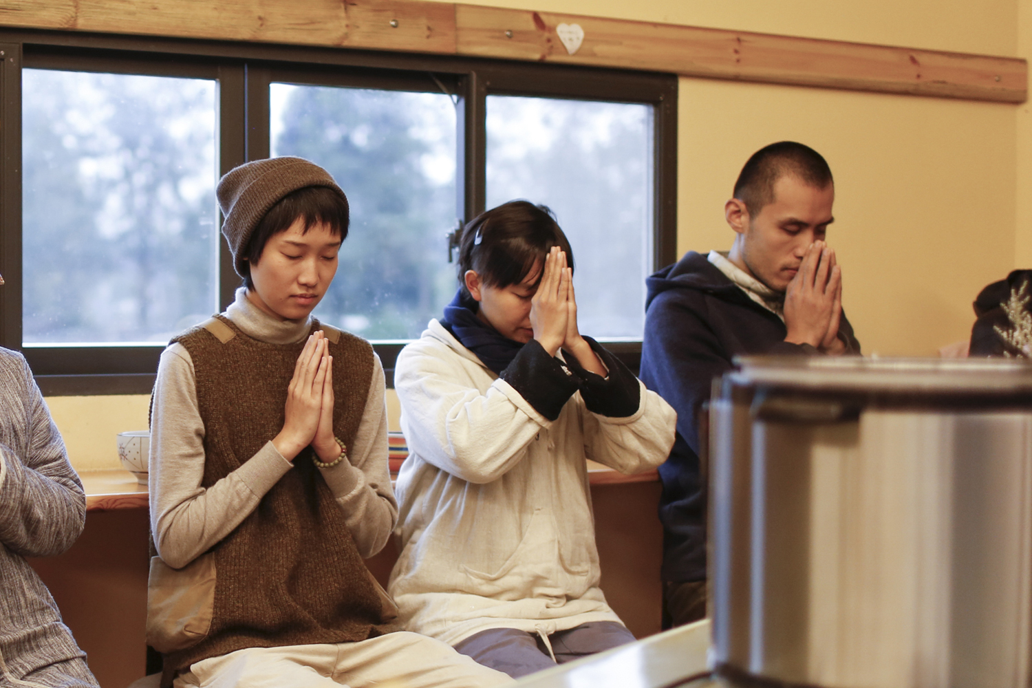 Wildlife rescue group saves baby bear from urban neighborhood