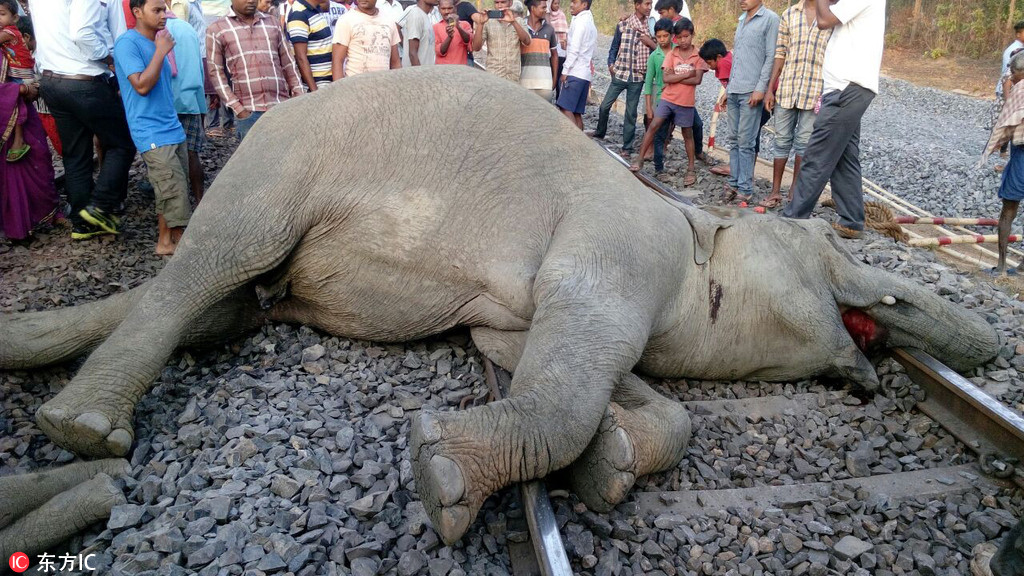 A hotel chain announced it will stop using single-use toiletries to reduce plastic waste