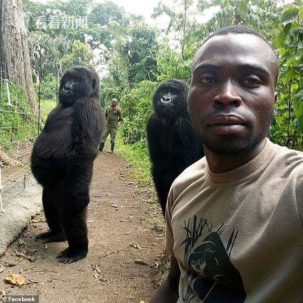 A team of engineers completed a project to upgrade the city’s sewage system