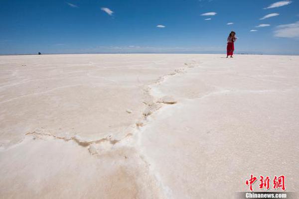 A national park reported an increase in the number of visitors during the summer