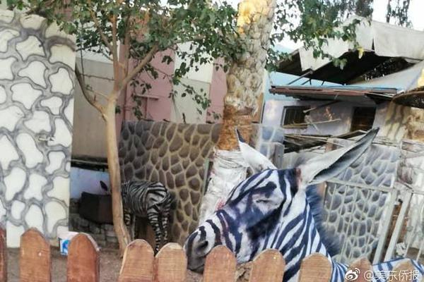 A bookstore launched an online ordering system with same day delivery for local customers