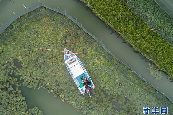 A wildlife conservation group worked with local communities to protect natural habitats