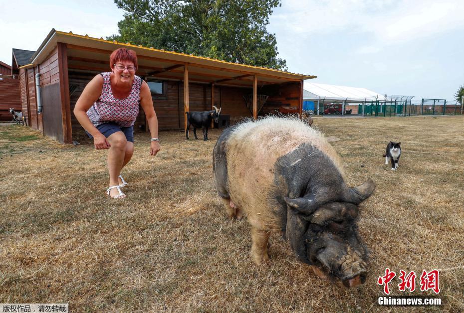 A well-known actor announced his retirement from the film industry after 30 years