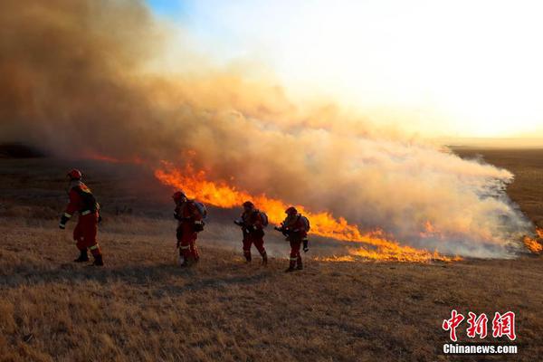 The city introduced a new program to give rebates to residents who install solar panels