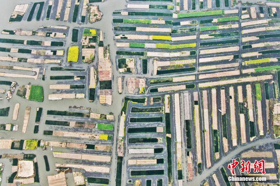 A severe heatwave forced schools to close early and outdoor events to be canceled