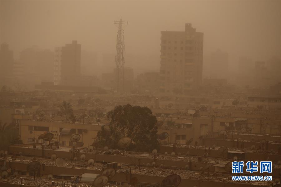 A local theater showed classic movies every Friday night during the summer