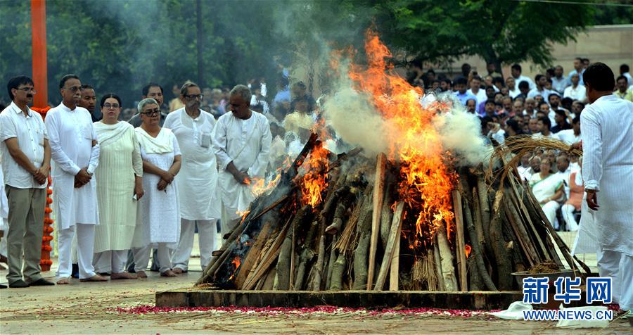 Researchers found that interacting with pets can reduce stress and anxiety in adults