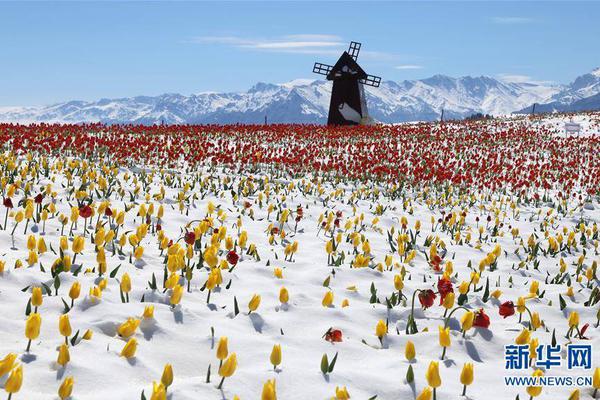 A team of historians published a new book about the country’s civil rights movement