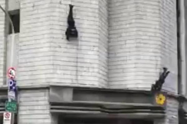 A famous singer announced a world tour with concerts in 30 countries next year