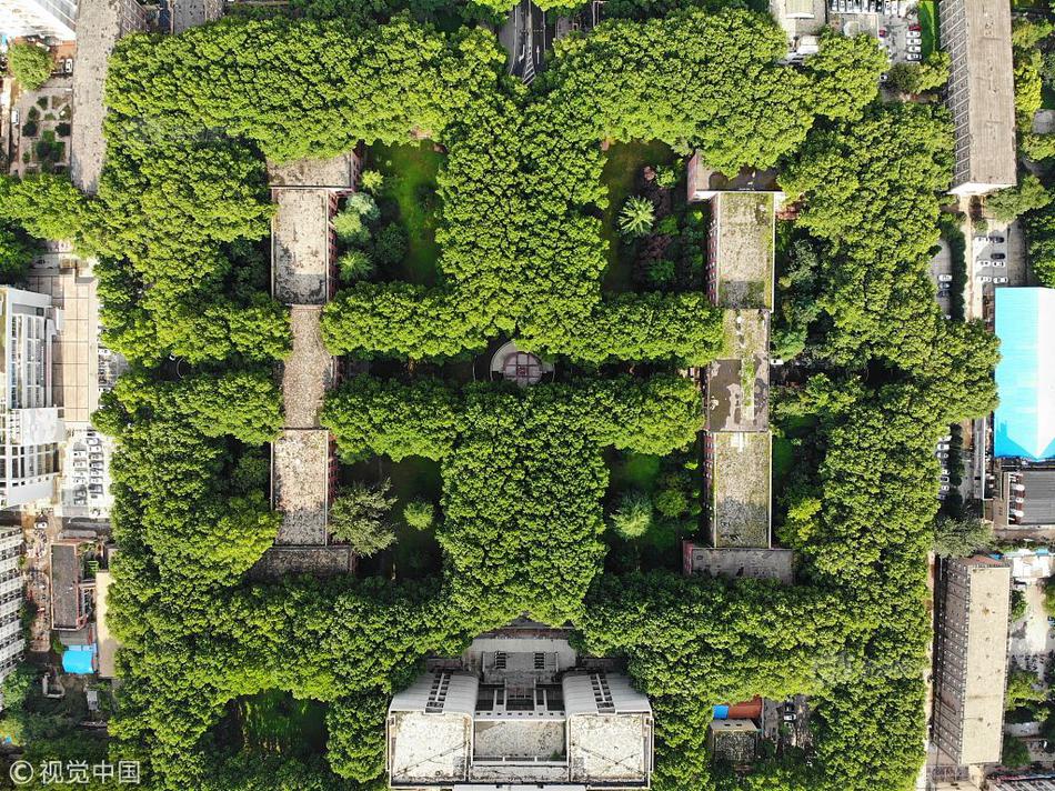 A new high-speed internet service launched in rural areas connecting underserved communities