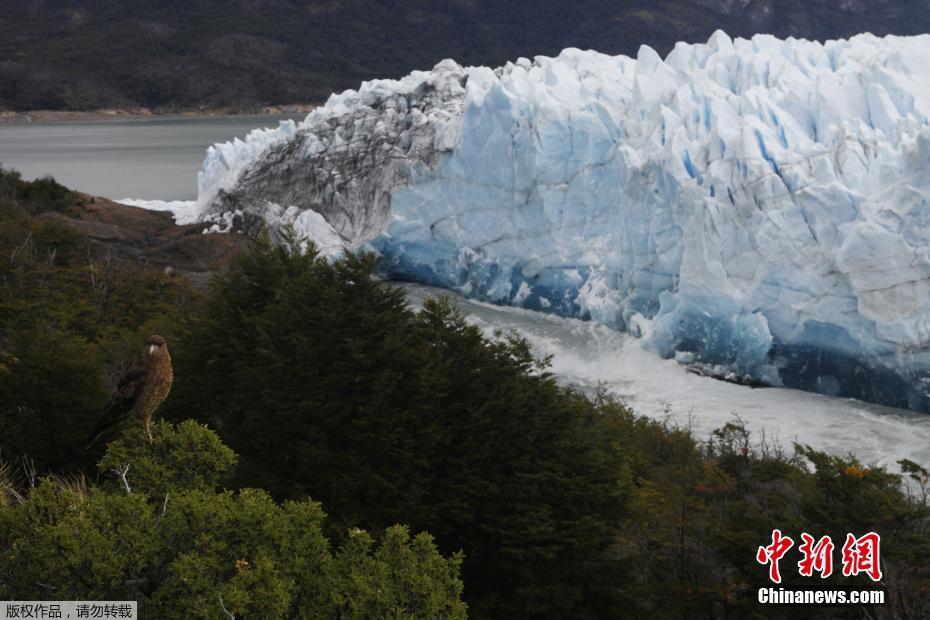 The mayor announced a plan to plant 10000 trees in the city over the next three years