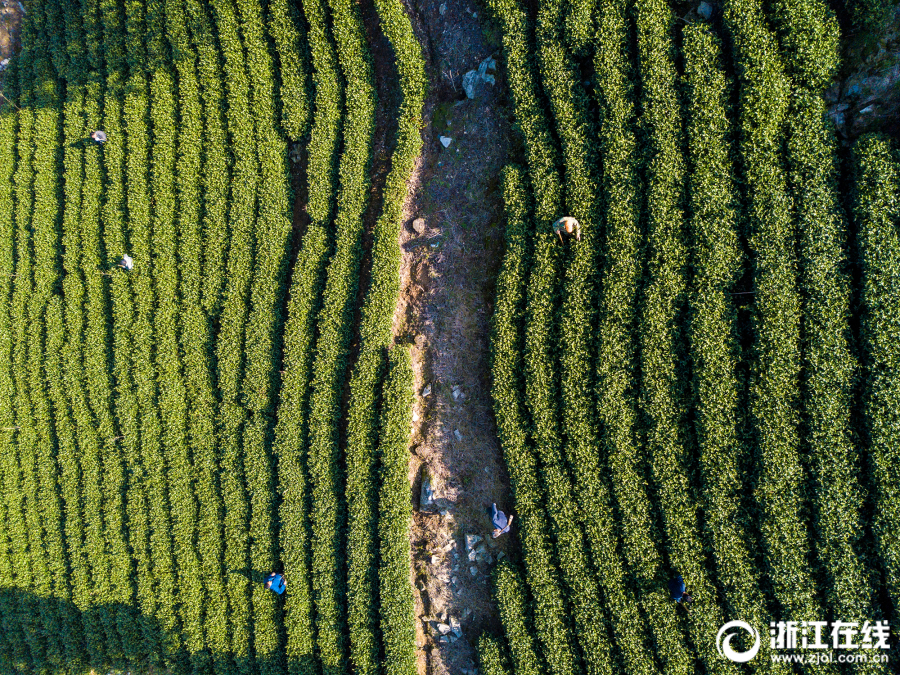 Community center offers free fitness classes for seniors every weekday morning