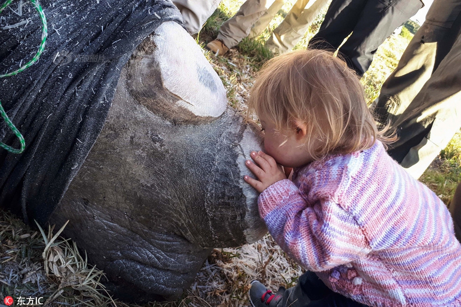 Scientists discovered a new star system with five planets including one in the habitable zone