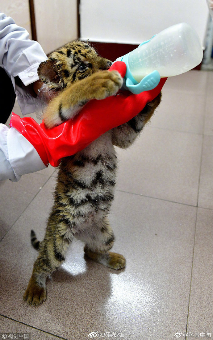 A fashion designer collaborated with a sports brand to create a line of athletic wear for runners