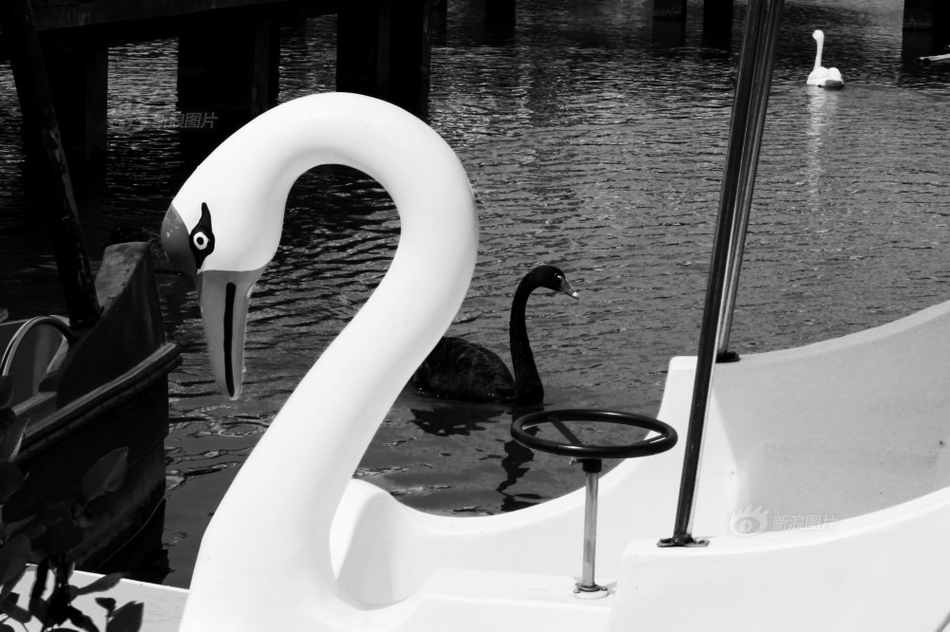 A hospital started a support group for patients with chronic illnesses