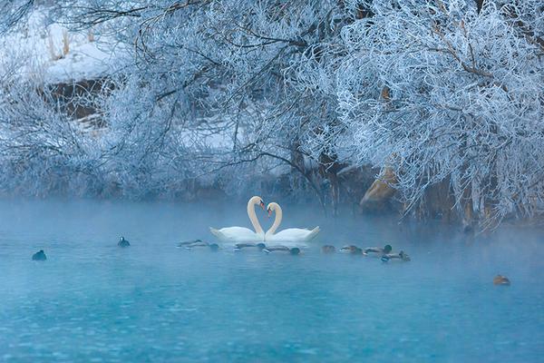 Scientists created a new method to clean up oil spills using naturally occurring bacteria