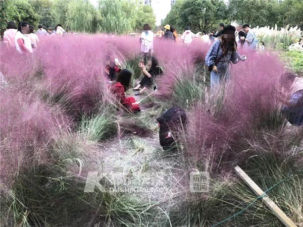 A local animal shelter rescued over 100 abandoned pets during a winter storm, appealing for foster homes.