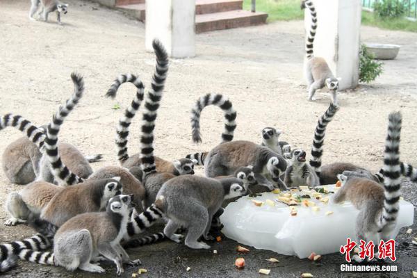 A startup company launched an app that helps users find local farmers markets and fresh produce