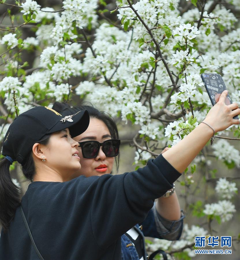 A new hotel chain focused on eco - tourism opened its first resort