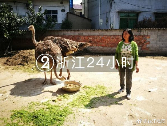 Dietitian recommends adding chia seeds to meals for omega 3 fatty acid intake