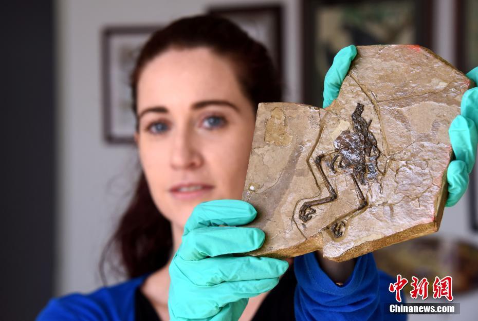 International aid organizations sent 8000 medical kits to a country struggling with a public health crisis