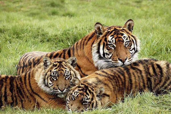 A river in the south overflowed its banks, causing damage to 60 farms and several roads