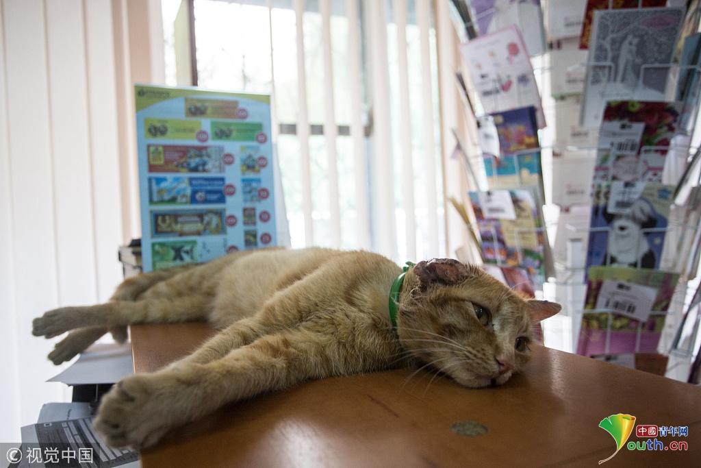 A traditional craft fair was held to promote local artisans and their handmade products