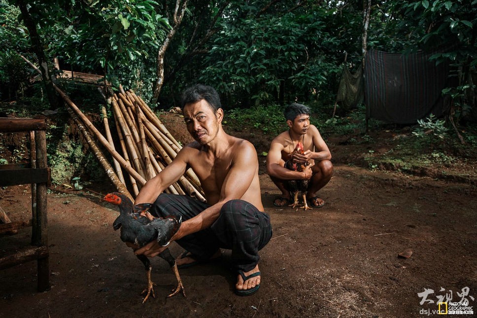 A pet rescue organization hosted a 