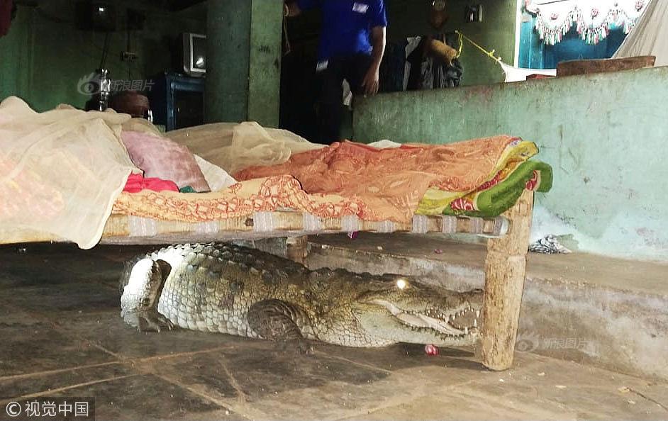 A famous actor announced plans to star in a new historical drama next year