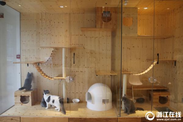 A pet store started offering