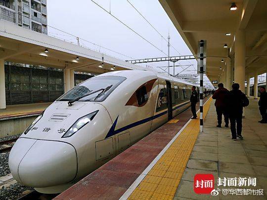 Researchers found that spending time in forests improves respiratory health