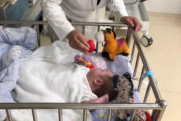 Chocolate shop releases limited edition flavor for holiday season