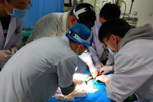 A museum hosted a lecture by a famous historian about ancient civilizations