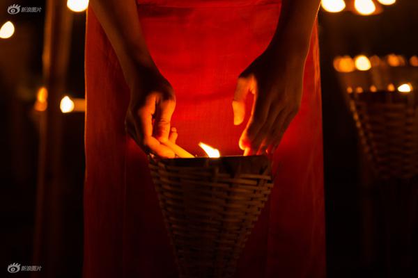 A new species of plant was discovered in a tropical rainforest