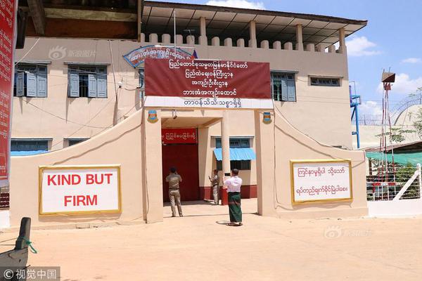 A new animal shelter opened to provide care for stray cats and dogs in the city