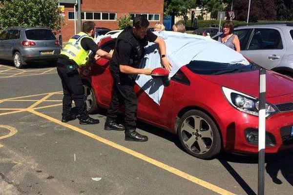 A study revealed that students who take breaks during study sessions retain more information