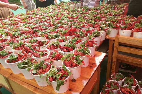 Tea shop imports rare white tea from remote regions of China